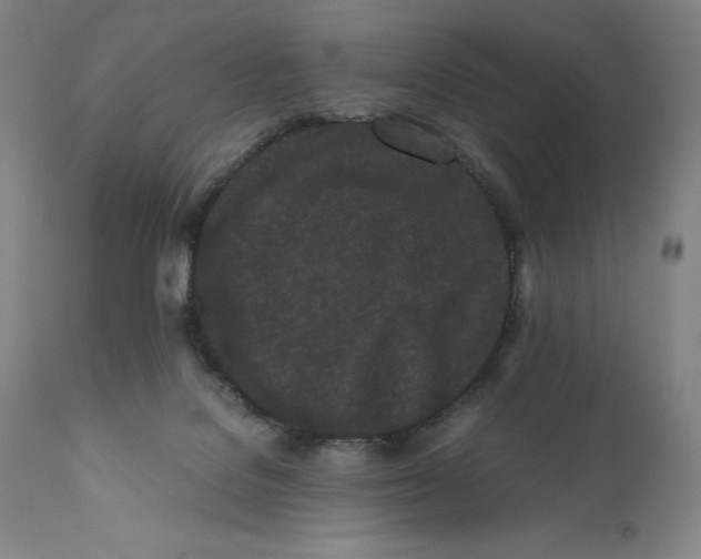 X0000110770076200907131244