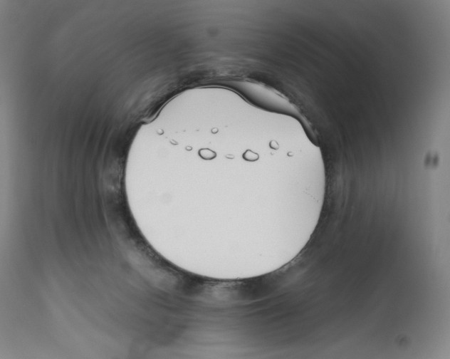 X0000110770078200907131244