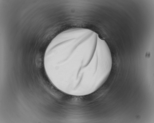 X0000110770080200907131244