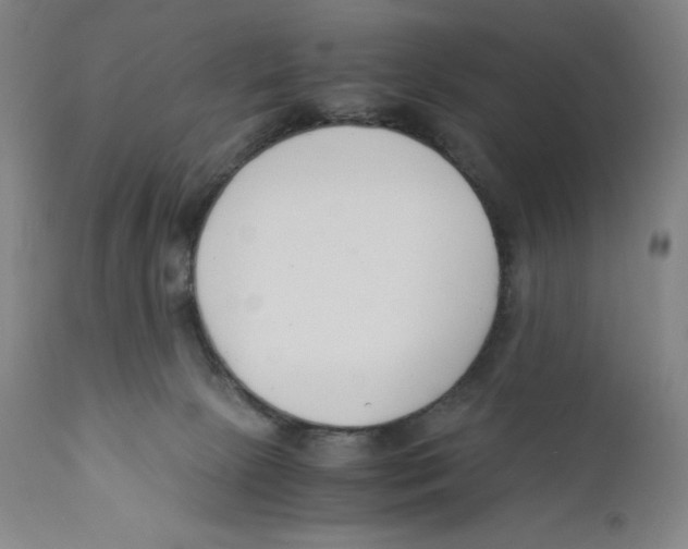 X0000110770081200907131244