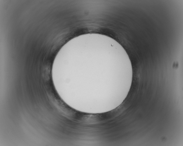 X0000110770082200907131244