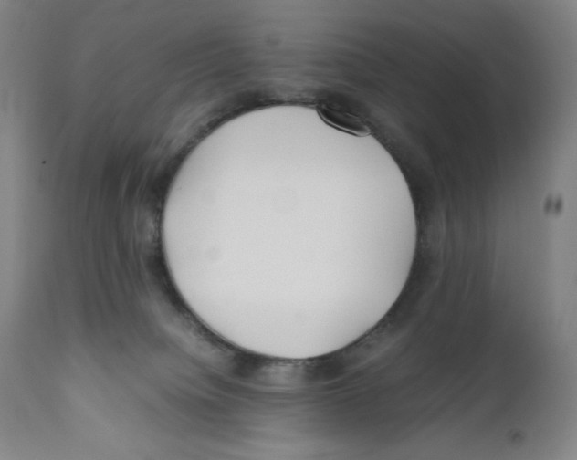 X0000110770084200907131244