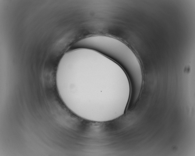 X0000110770088200907131244