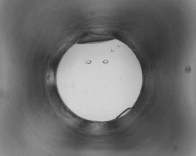 X0000110770089200907131244