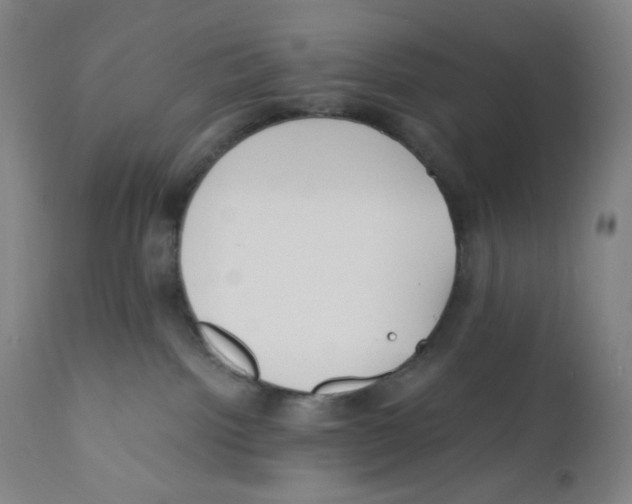 X0000110770092200907131244