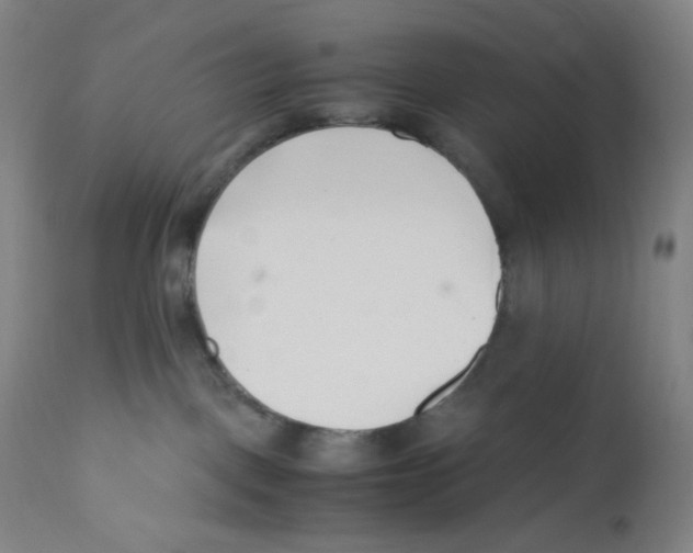 X0000110770093200907131244