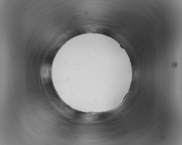 X0000110770094200907131244