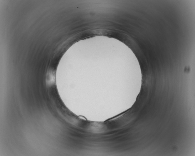 X0000110770095200907131244