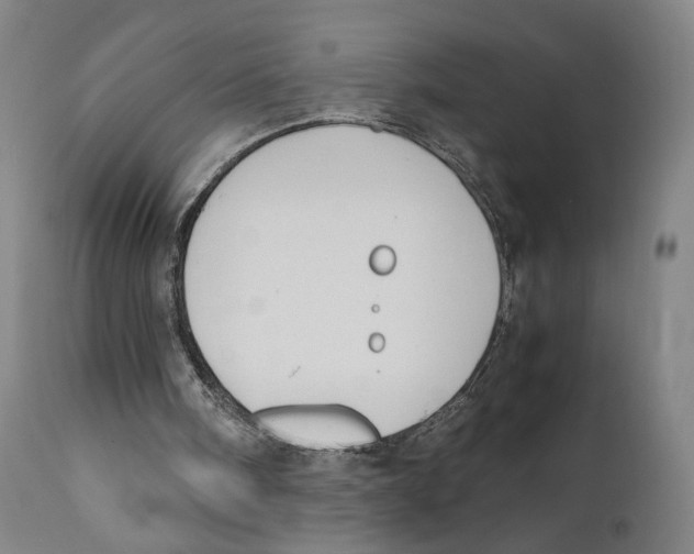 X0000110770098200907131243