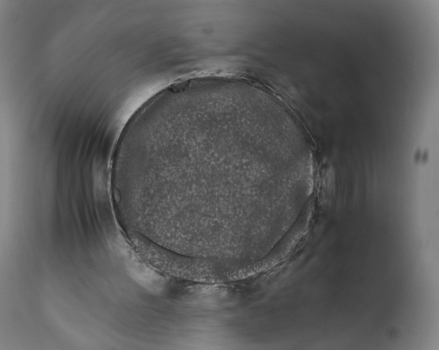 X0000110770100200907131243