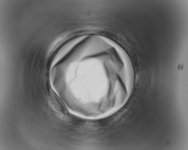 X0000110770101200907131243