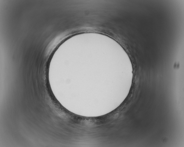 X0000110770103200907131243