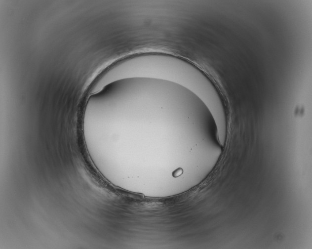 X0000110770108200907131243