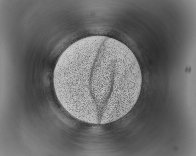 X0000110770114200907131243