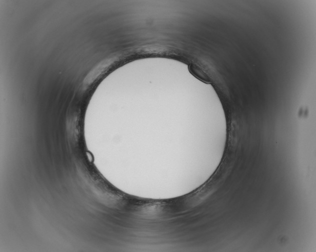 X0000110770116200907131243