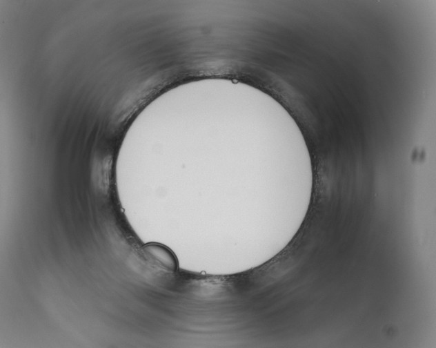 X0000110770118200907131243