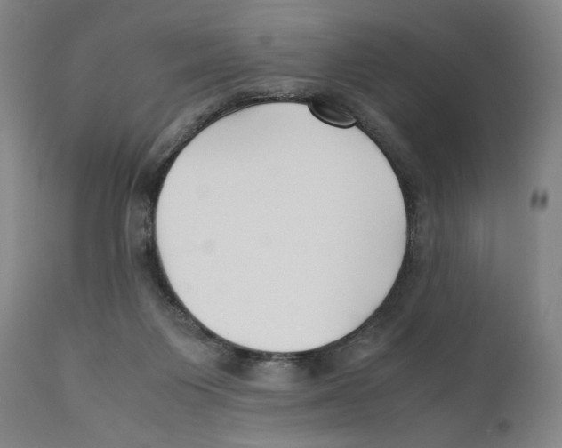 X0000110770119200907131243