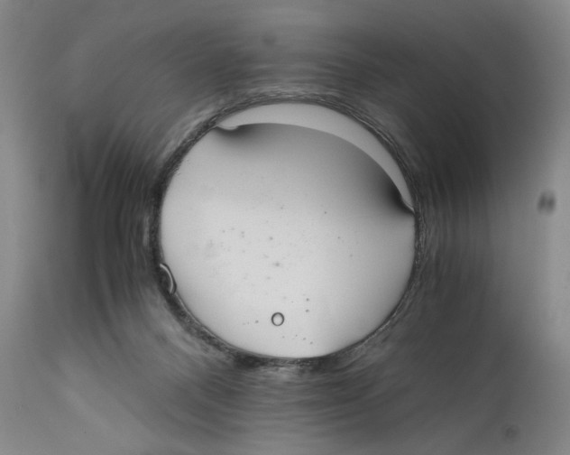 X0000110770120200907131243