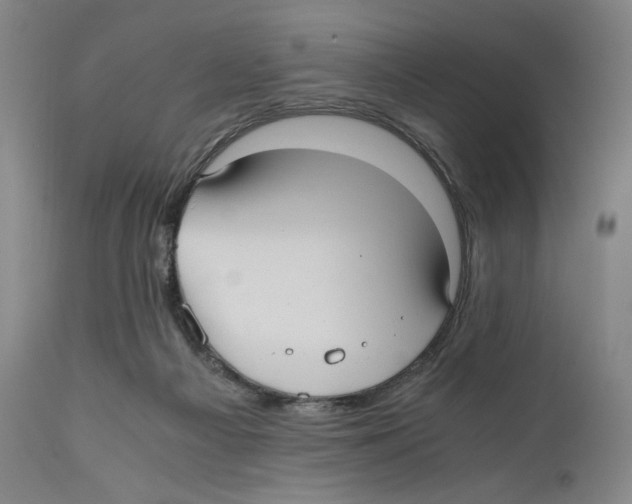 X0000110770121200907131243