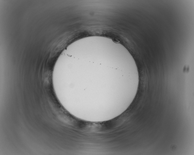 X0000110770125200907131243