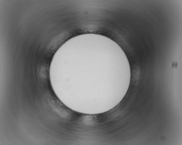 X0000110770126200907131243