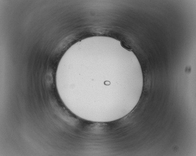 X0000110770128200907131243