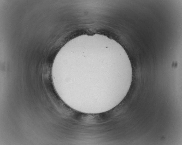 X0000110770129200907131243