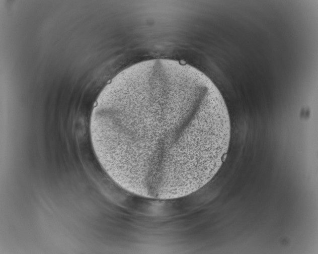 X0000110770130200907131243