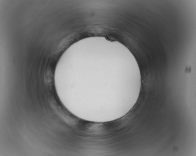 X0000110770132200907131243