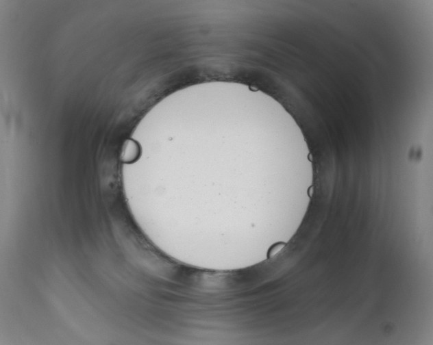 X0000110770134200907131243