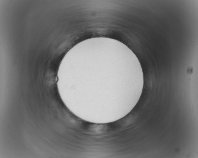 X0000110770135200907131243