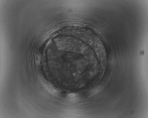 X0000110770139200907131243