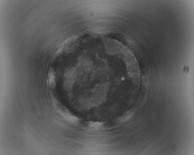 X0000110770143200907131243