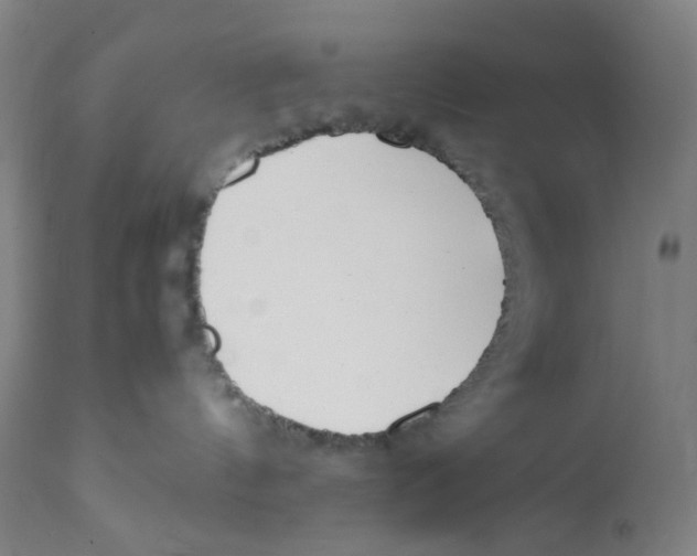 X0000110770144200907131243