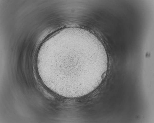 X0000110770145200907131242