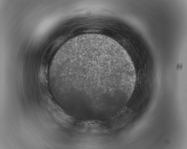 X0000110770146200907131242