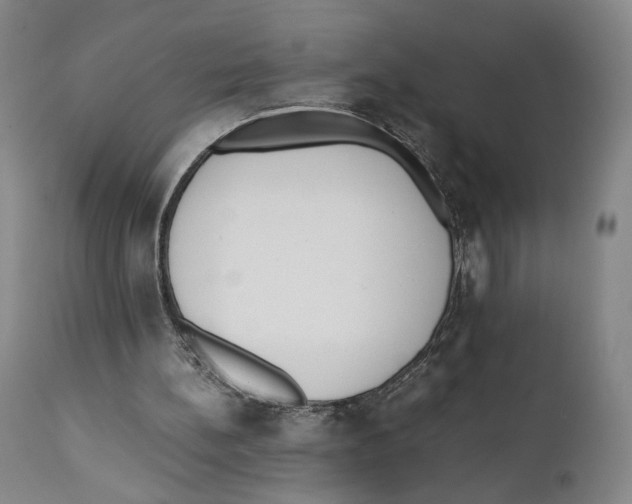 X0000110770148200907131242