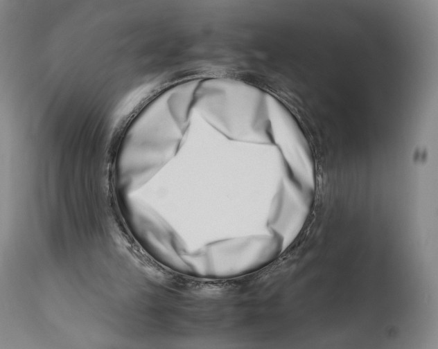 X0000110770149200907131242