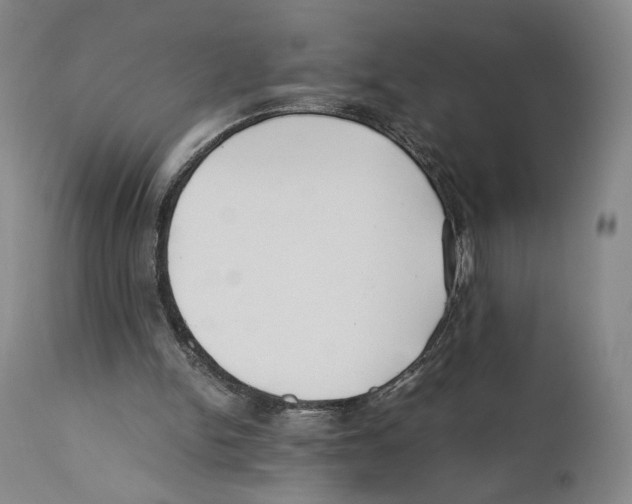 X0000110770150200907131242