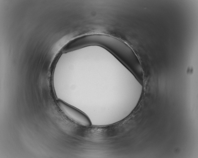 X0000110770152200907131242