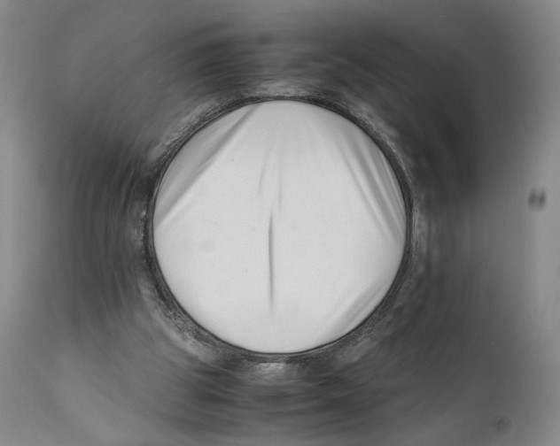 X0000110770153200907131242