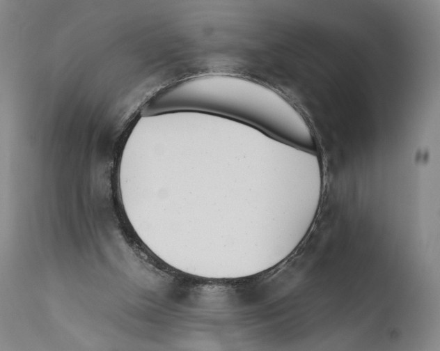 X0000110770154200907131242