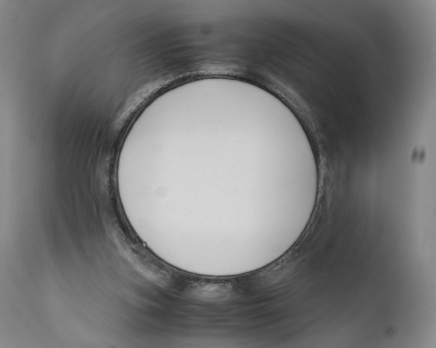 X0000110770155200907131242