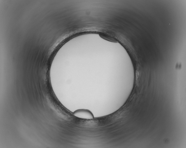 X0000110770156200907131242