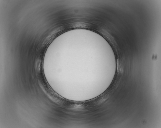 X0000110770157200907131242