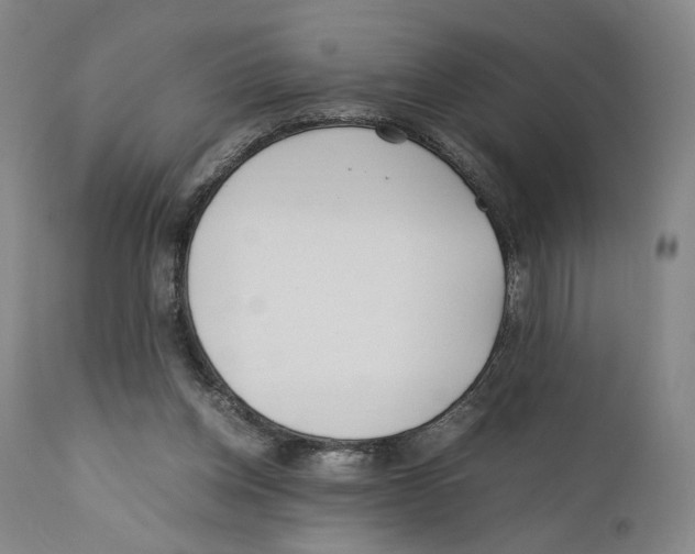 X0000110770158200907131242