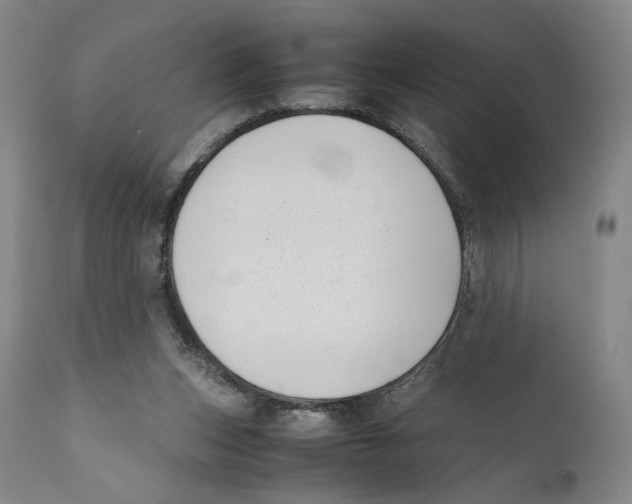 X0000110770159200907131242