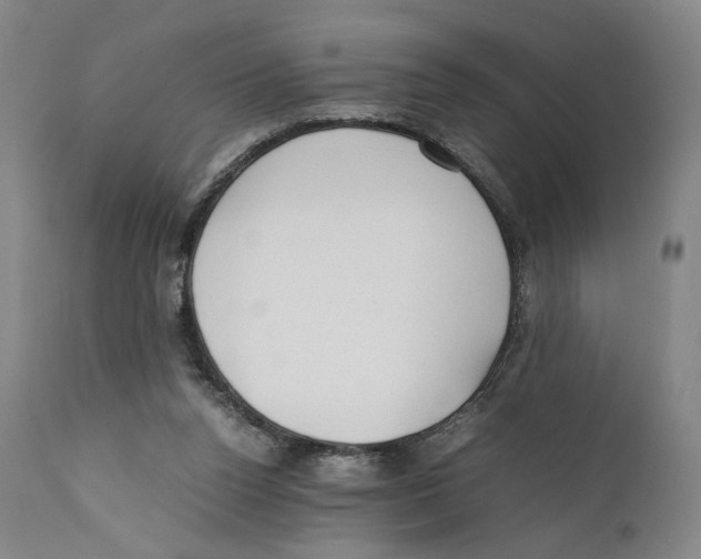 X0000110770160200907131242