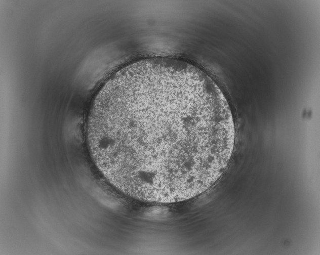 X0000110770162200907131242