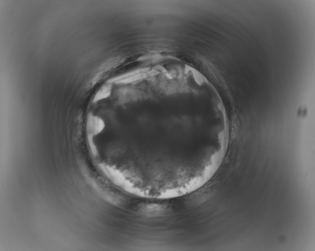 X0000110770163200907131242